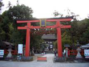 クリックして画像を拡大