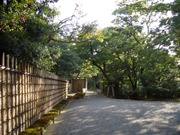 クリックして画像を拡大